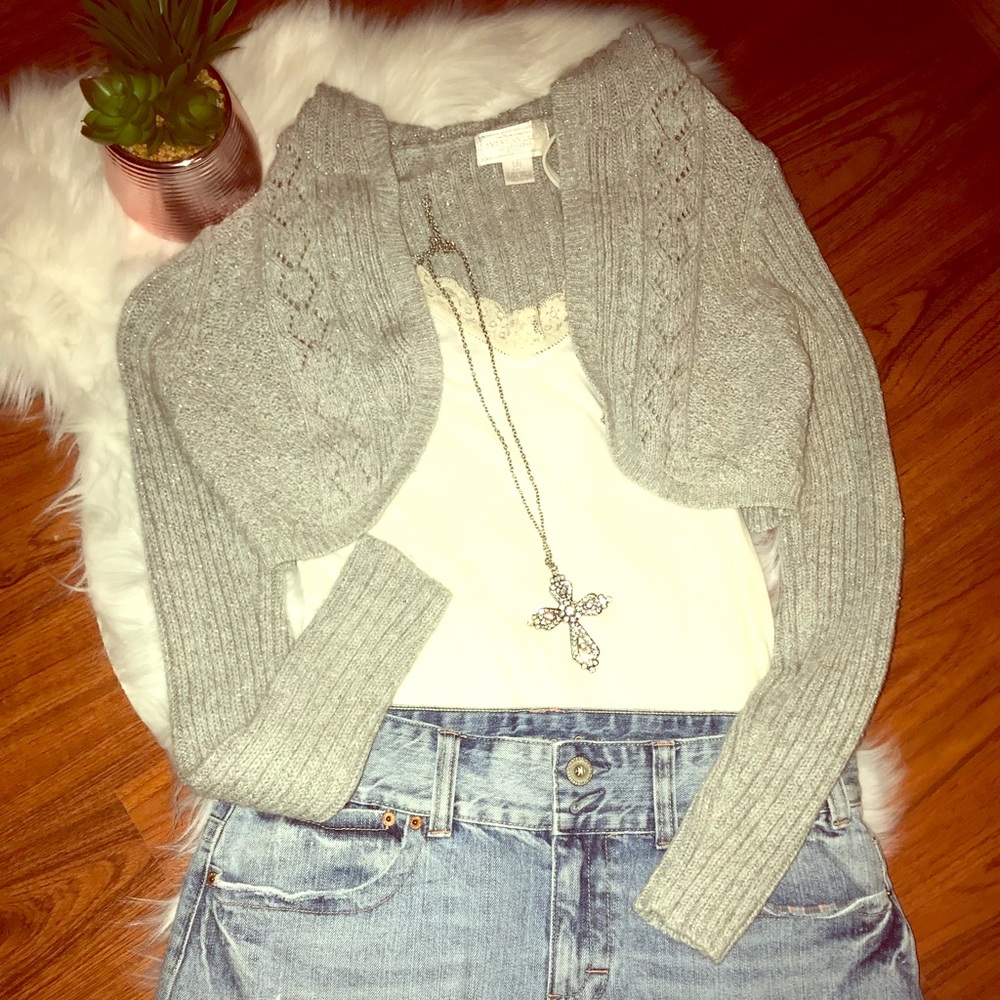 American Eagle Cropped Gray Hooded Sweater